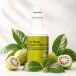 Nature’s Noni Juice